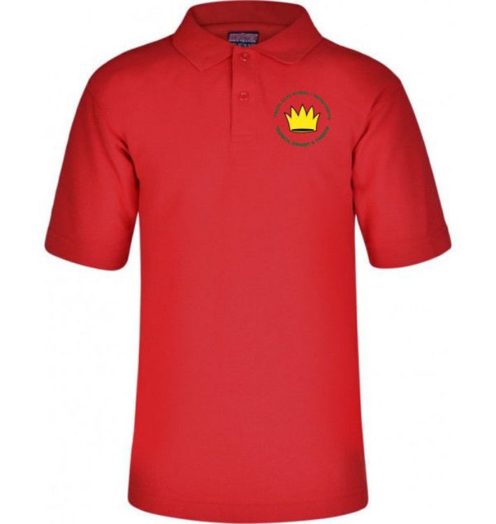 Picture of Llys Hywel School Polo Shirt