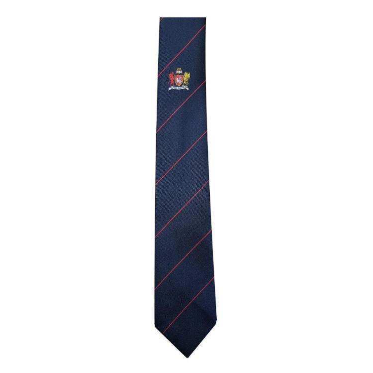 Picture of Dyffryn Taf 6th Form Tie